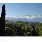 Blick von der Alhambra/Granada auf die Sierra Nevada