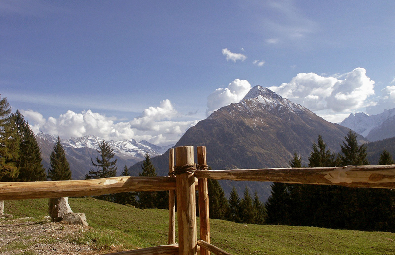 Blick von der Alm