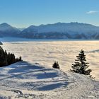 Blick von der Alpe Bargella (2)