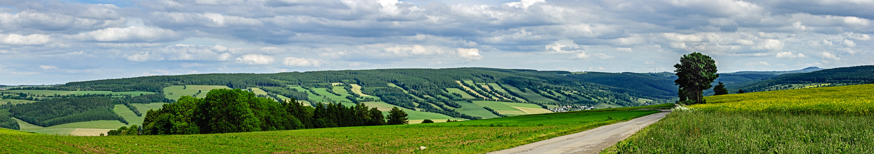 Blick von der alten Poststrasse Richtung Königswalde und den Windpark Jöhstadt