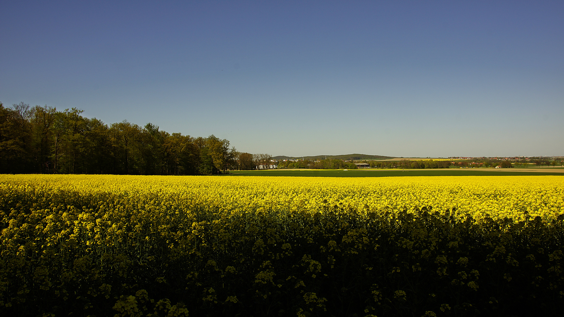 Blick von der Argestorfer Spitze