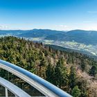 Blick von der Aussichtskanzel in den Lamer Winkel