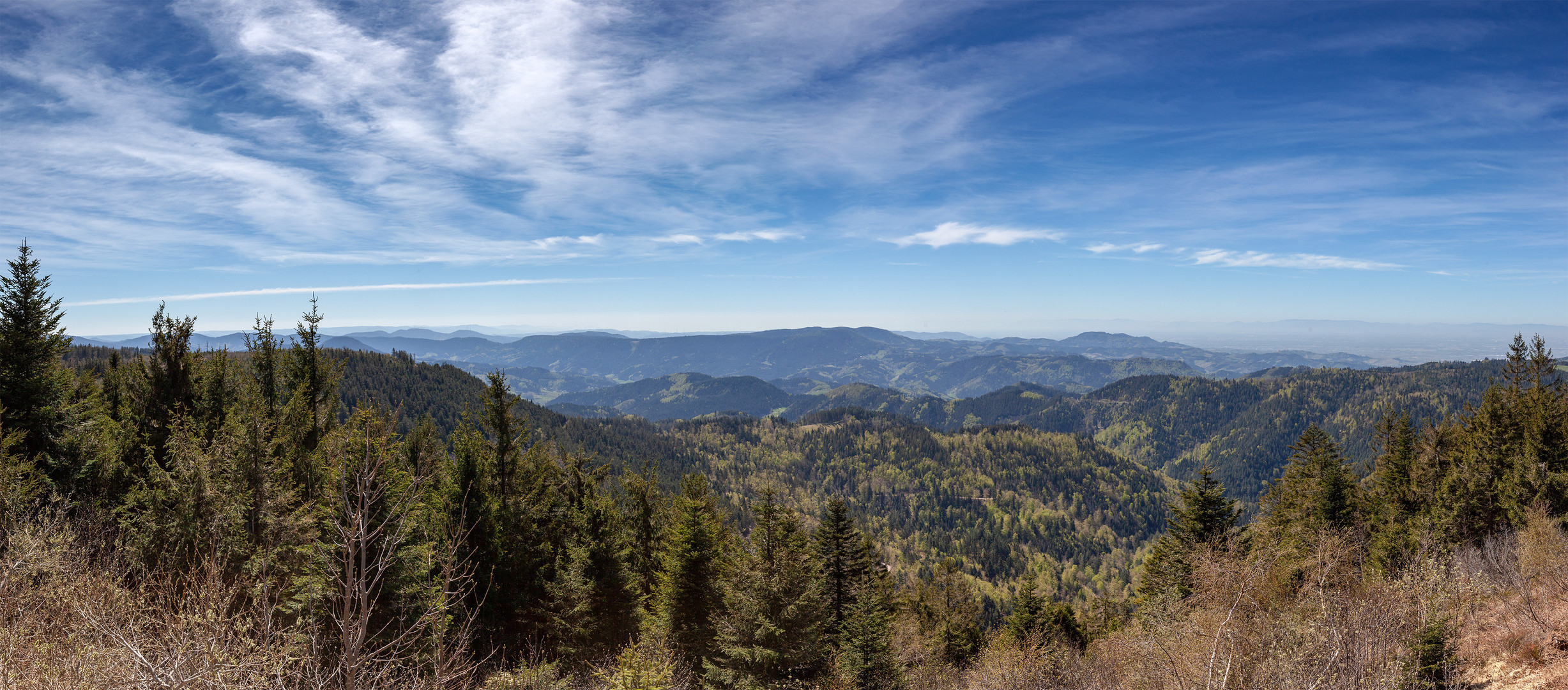 Blick von der Aussichtsplattform Steinmäuerle