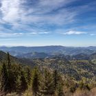 Blick von der Aussichtsplattform Steinmäuerle