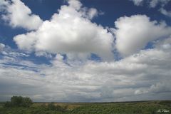 Blick von der Außsichtsdüne Ost