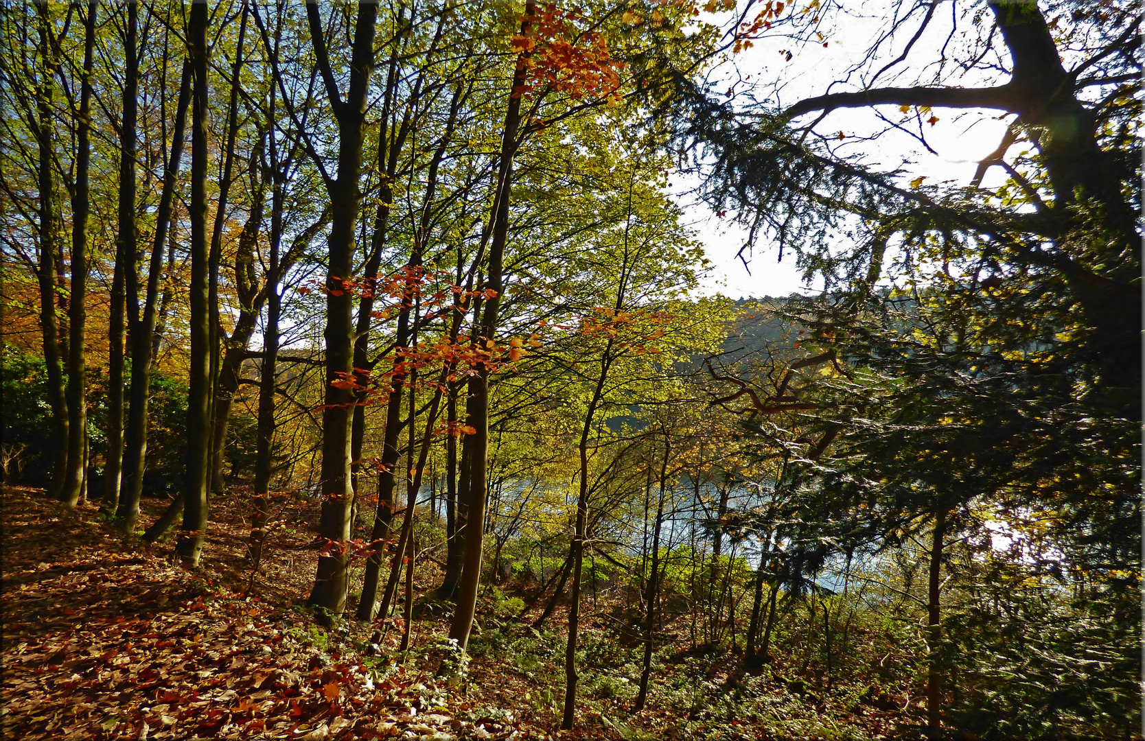 Blick von der Bank auf die Eschbachtalsperre