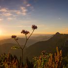 Blick von der Berghütte Unterammergau ins Tal um 6 Uhr morgens