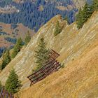 Blick von der Bergstation Walmendingerhornbahn (1.960 m) in Österreich 10