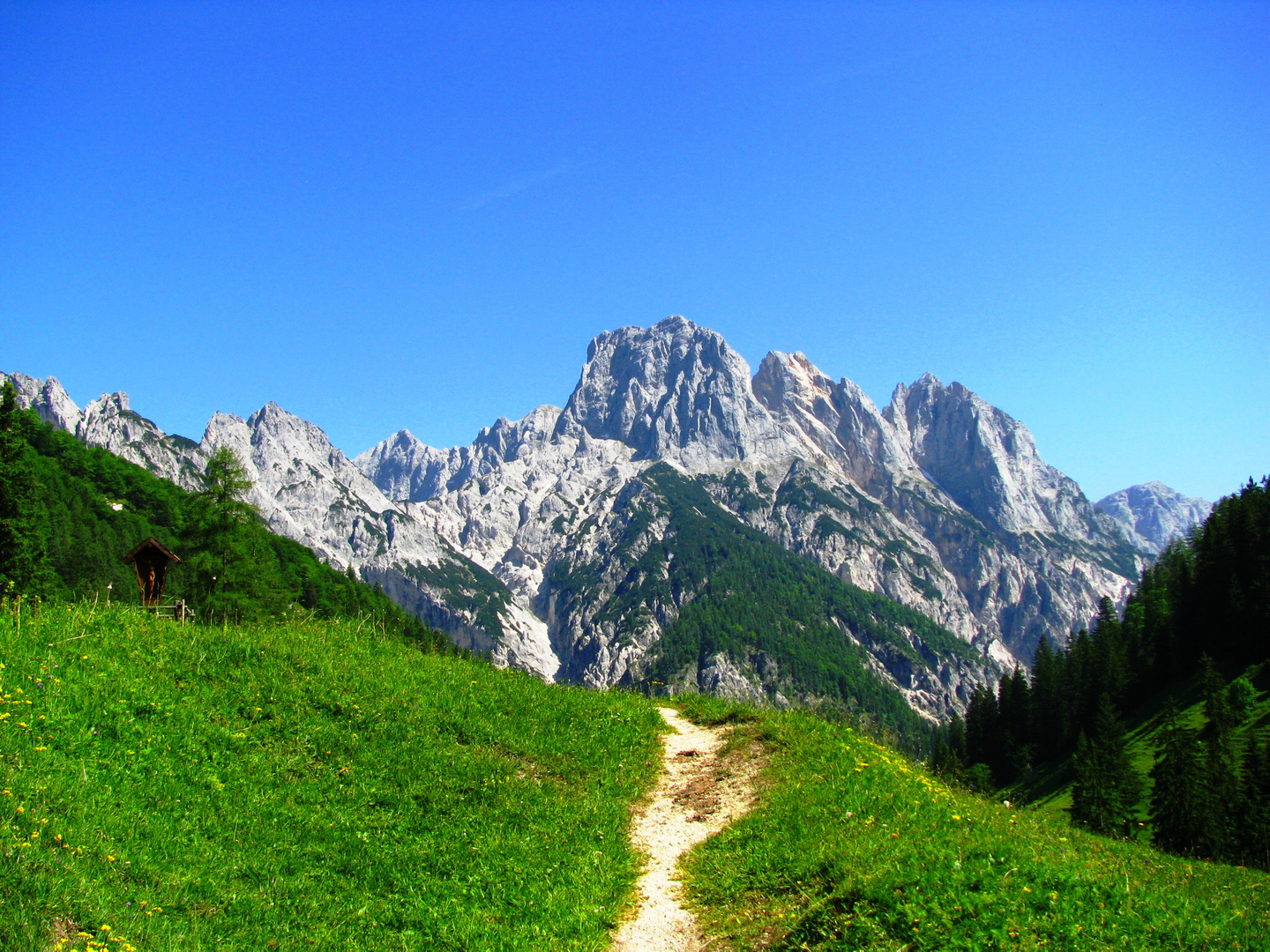 Blick von der Bindalm