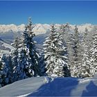 Blick von der Birgitzalm zum Wetterstein- und Miemigergebirge