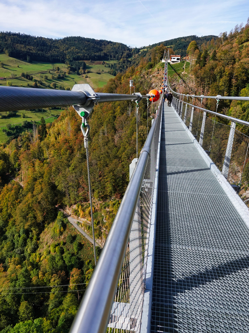 Blick von der Blackforestline Hängebrücke 