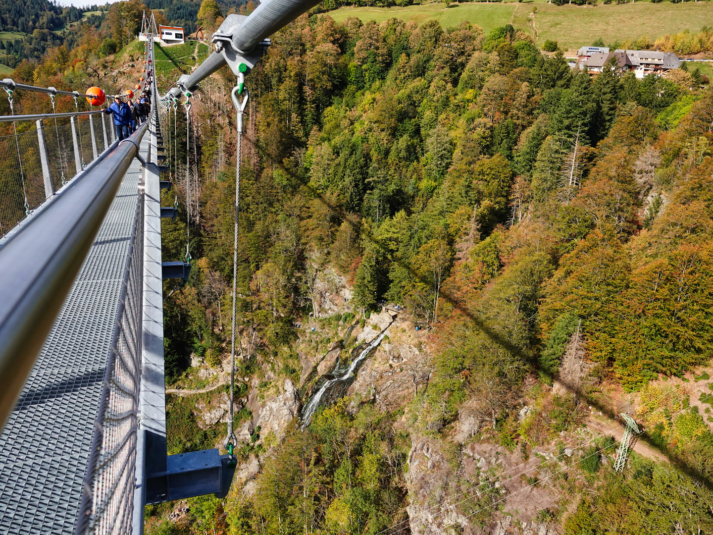 Blick von der Blackforestline Hängebrücke 