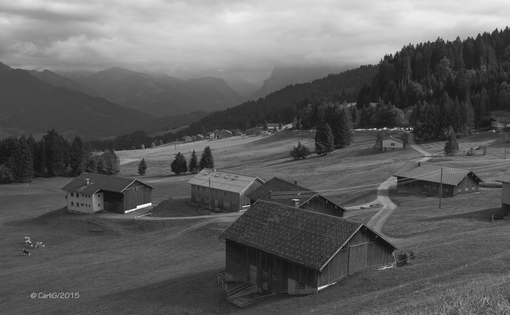 Blick von der Bödele Straße – s/w