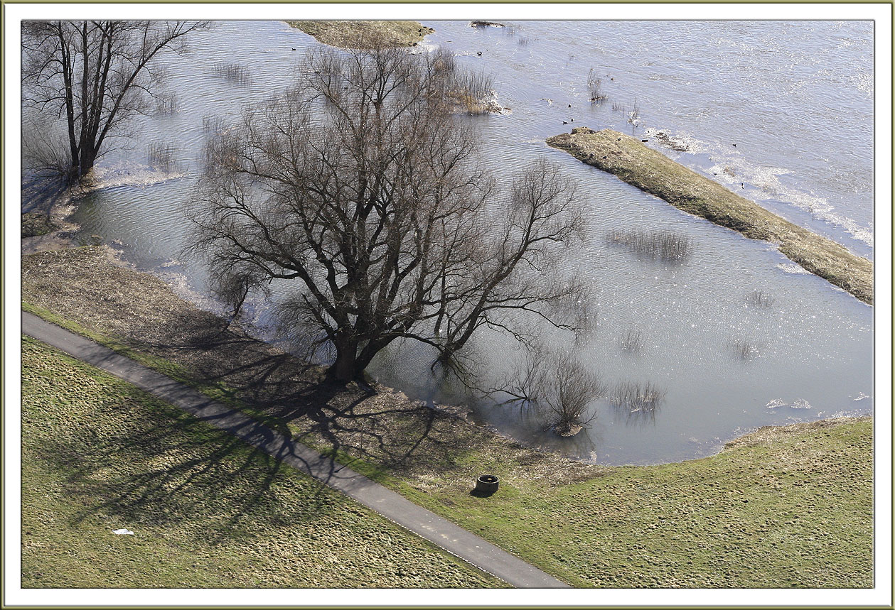 Blick von der Bosel auf die Elbe März 2010