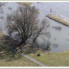 Blick von der Bosel auf die Elbe März 2010