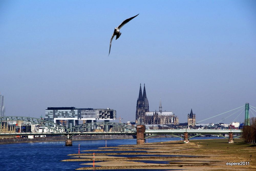 Blick von der Brücke