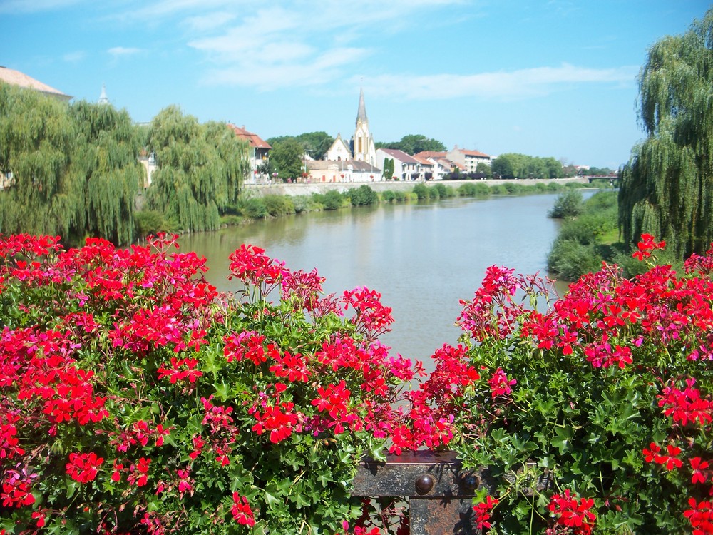 blick von der Brücke über die Timis auf Lugoj