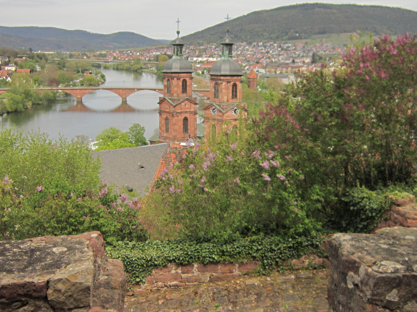 Blick von der Burg