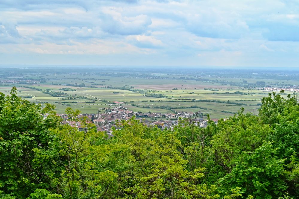 Blick von der Burg auf das unten liegende Diedesfeld