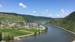 Blick von der Burg Metternich in Beilstein/Mosel