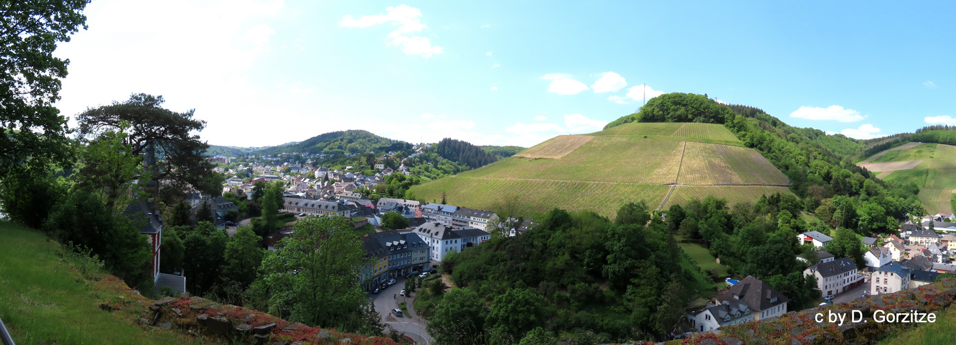 Blick von der Burg Saarburg !