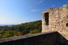 Blick von der Burg Sayn