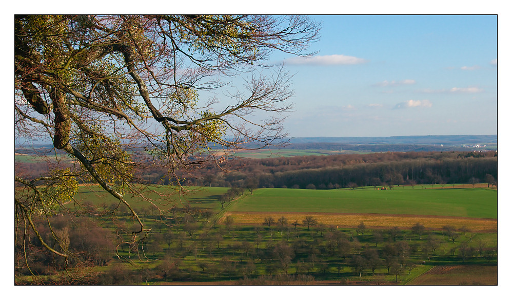 blick von der burg steinsberg in sinsheim-weiler