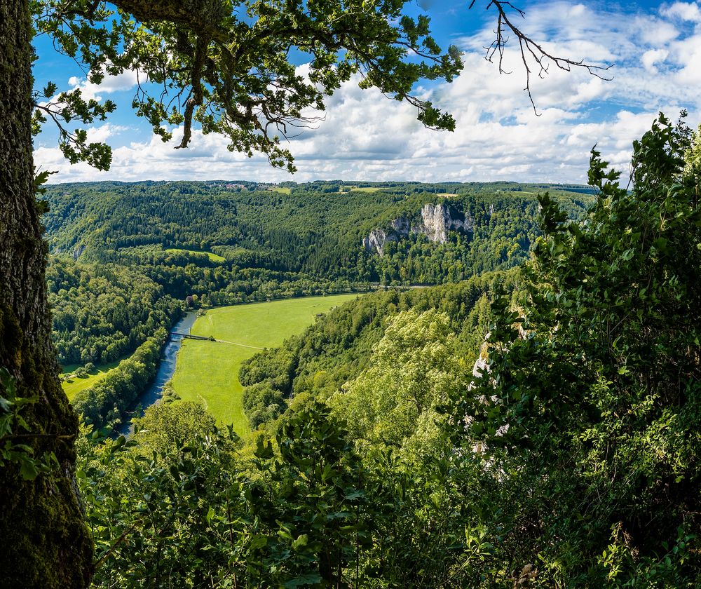 Blick von der Burg Wildenstein