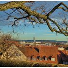 Blick von der Burgmauer über Dächer hinweg