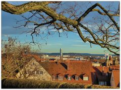 Blick von der Burgmauer über Dächer hinweg