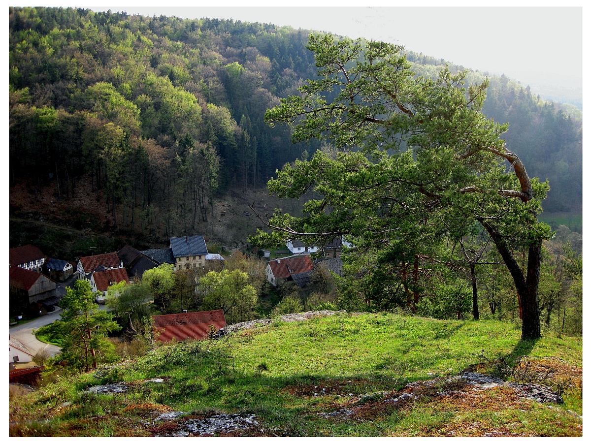 Blick von der Burgruine auf das Dorf Niesten