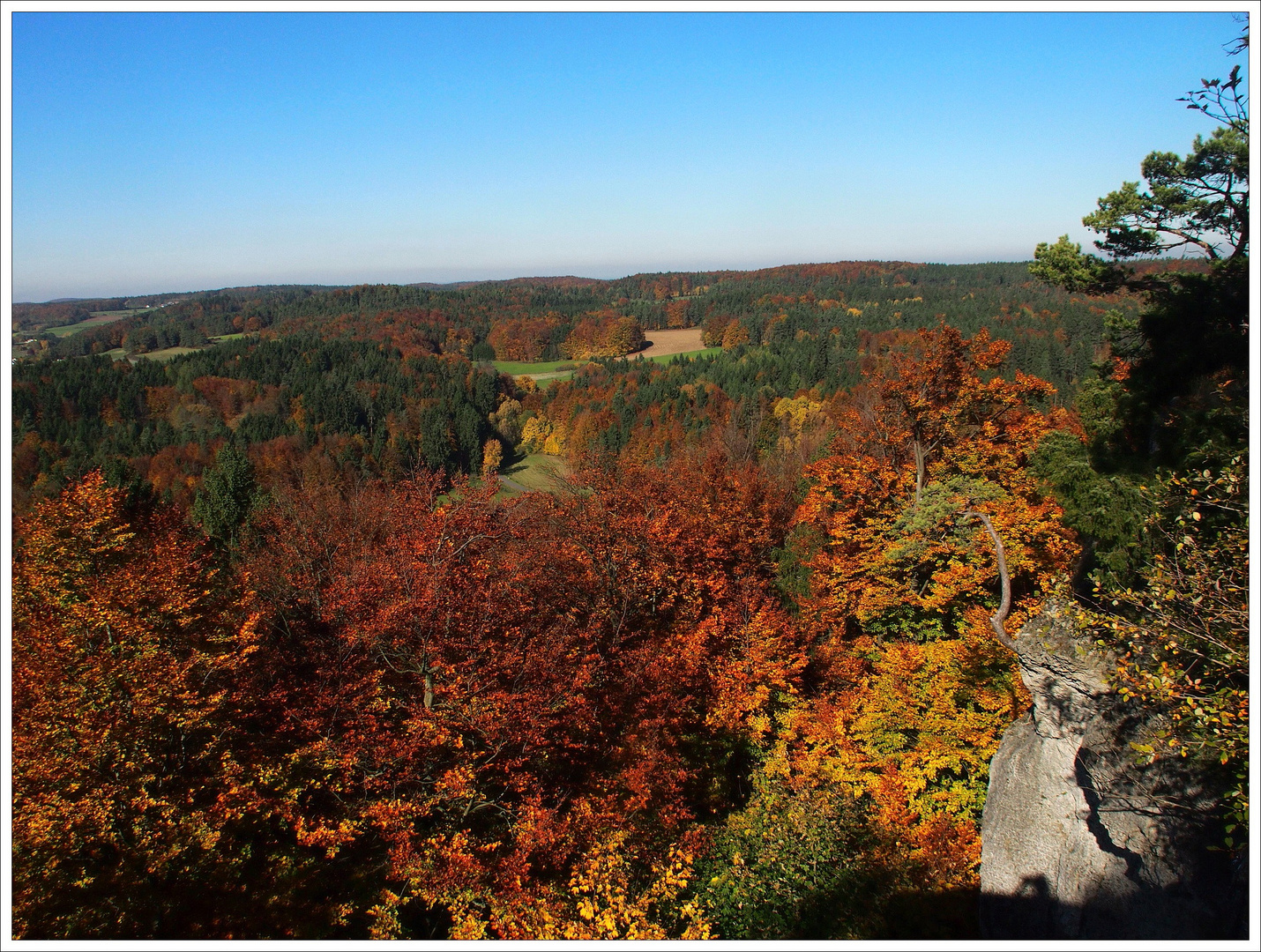 Blick von der Burgruine Leienfels