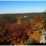 Blick von der Burgruine Leienfels