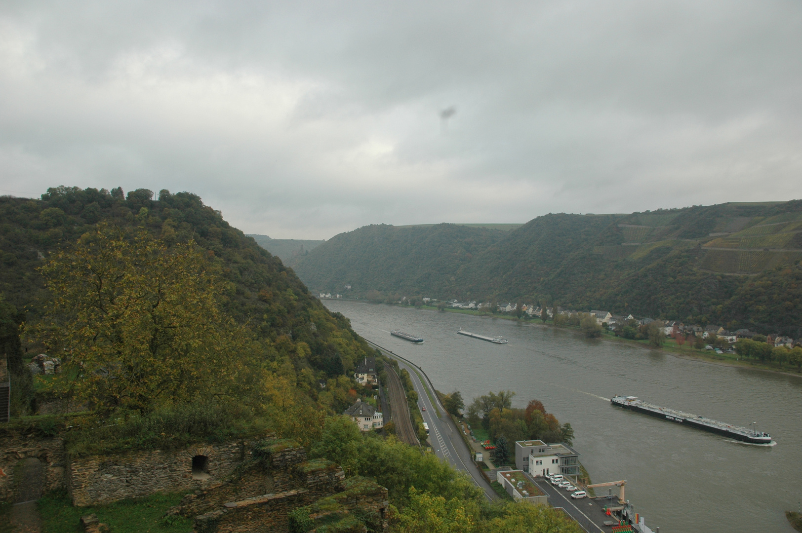 Blick von der Burgruine Rheinfels auf den Rhein