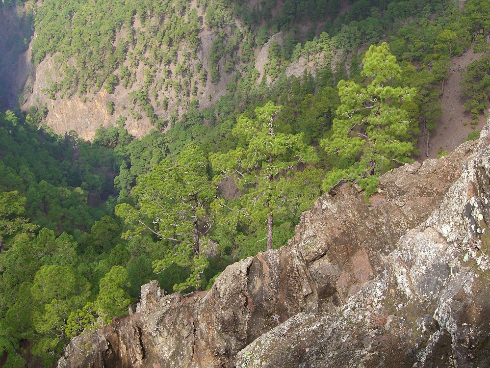 Blick von der Cumbrecita