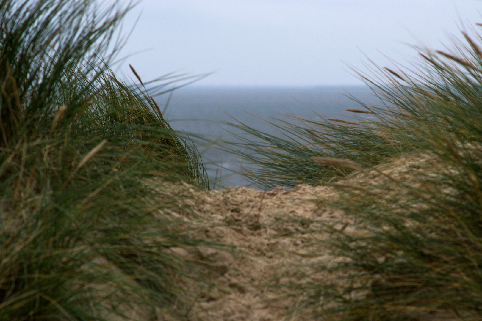 Blick von der Düne