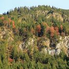 Blick von der Erdinger Arena in Oberstdorf 1