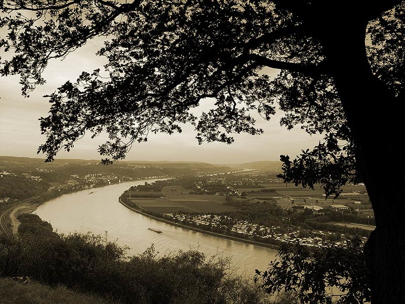 Blick von der Erpeler Ley auf den Rhein bei Remagen