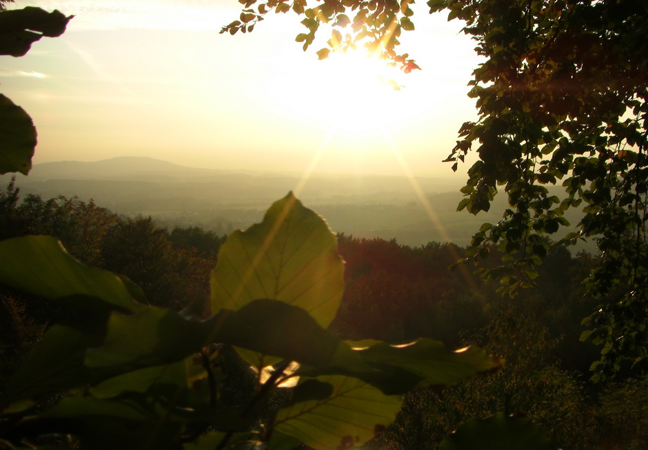 Blick von der Erzgrube auf Hersbruck