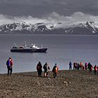 Blick von der Falklandinsel