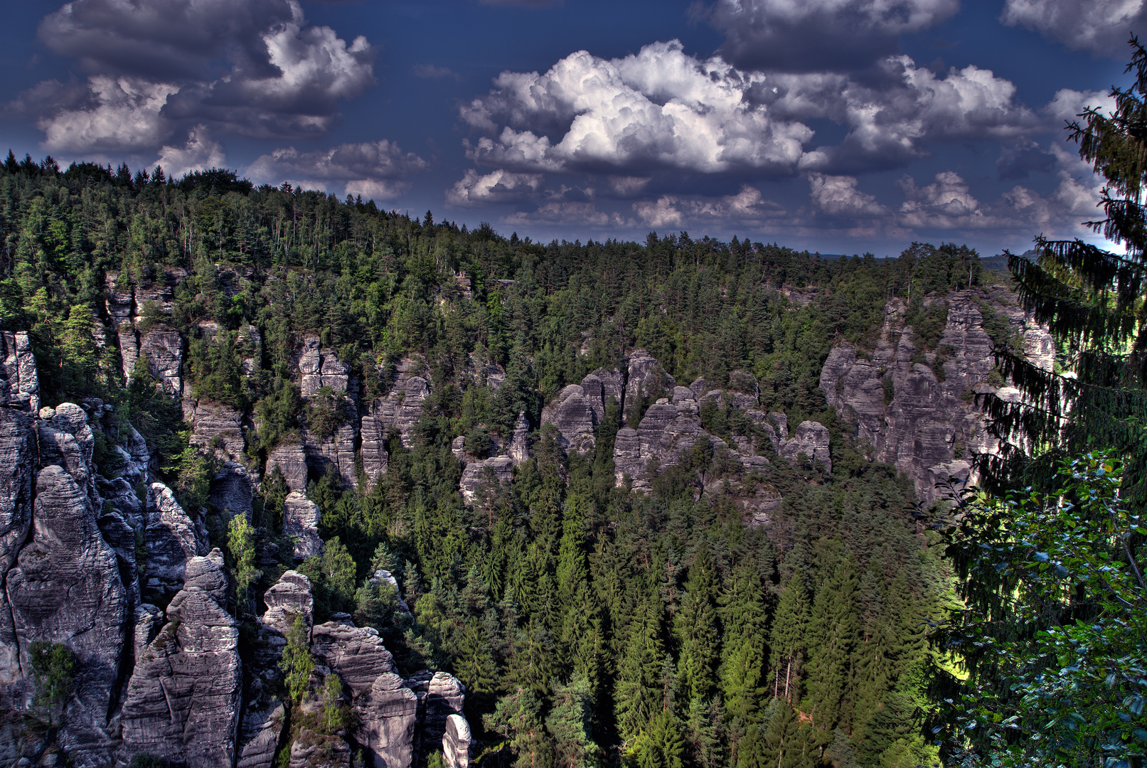 Blick von der Felsenburg Rathen #Bastei