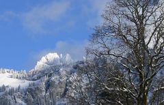 Blick von der Fronalp