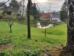 Blick von der Gartenbank...