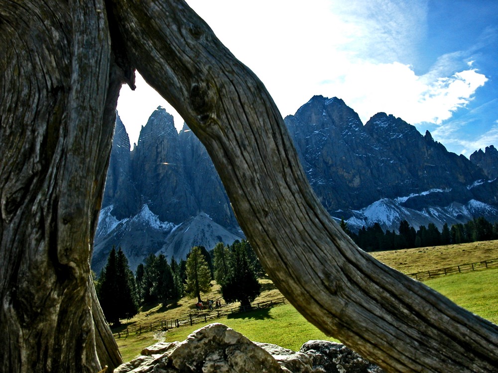 Blick von der Glatsch Alm auf die Geisler Spitzen ...