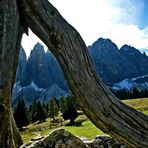 Blick von der Glatsch Alm auf die Geisler Spitzen ...