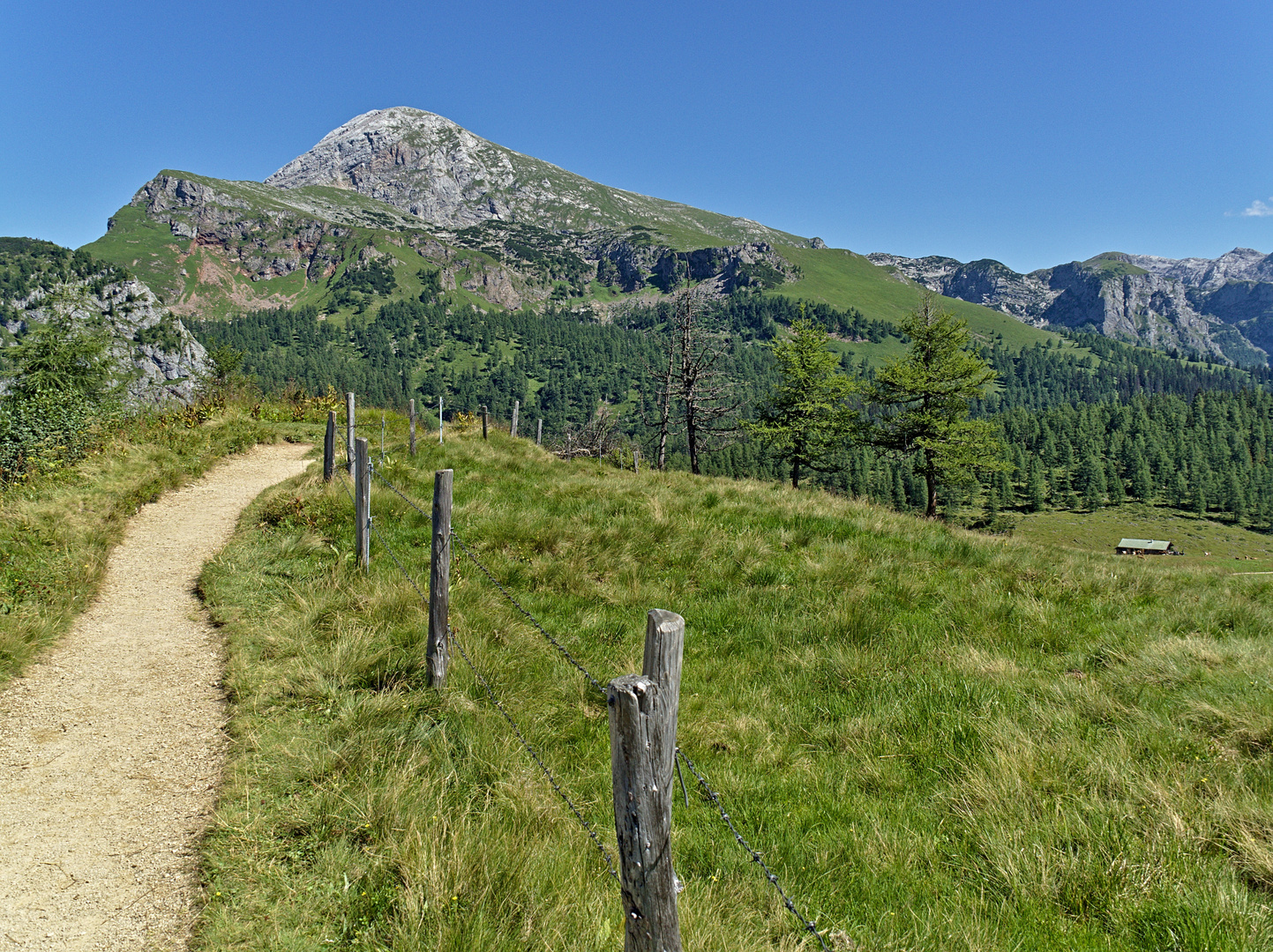 Blick von der Gotzenalm