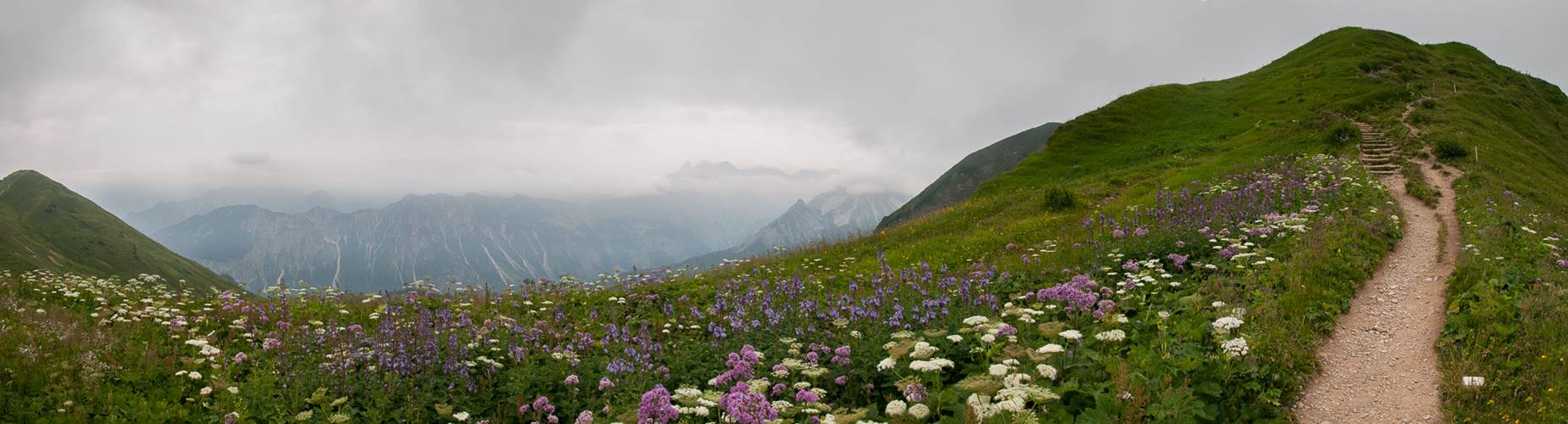 Blick von der Gratwanderung auf dem Fellhorn