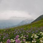 Blick von der Gratwanderung auf dem Fellhorn