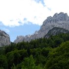 Blick von der Griesner Alm…