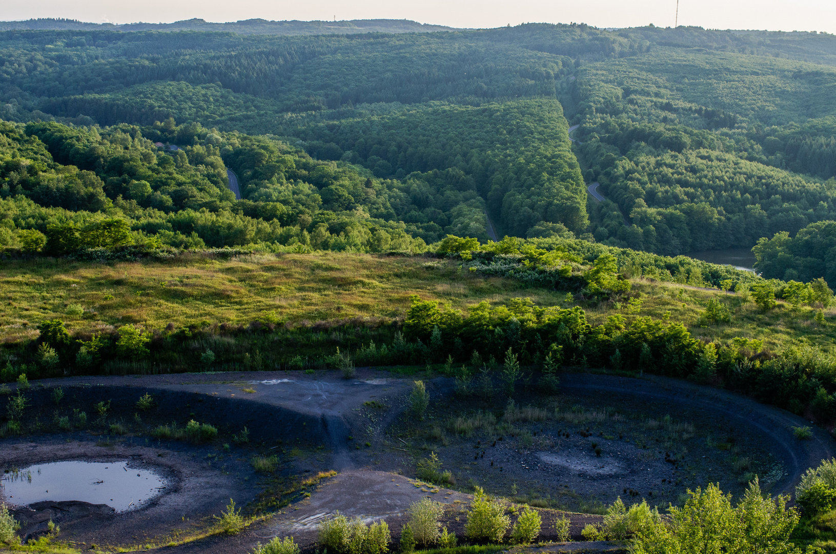 Blick von der Halde Lydia Camphausen über den Saar-Kohlenwald